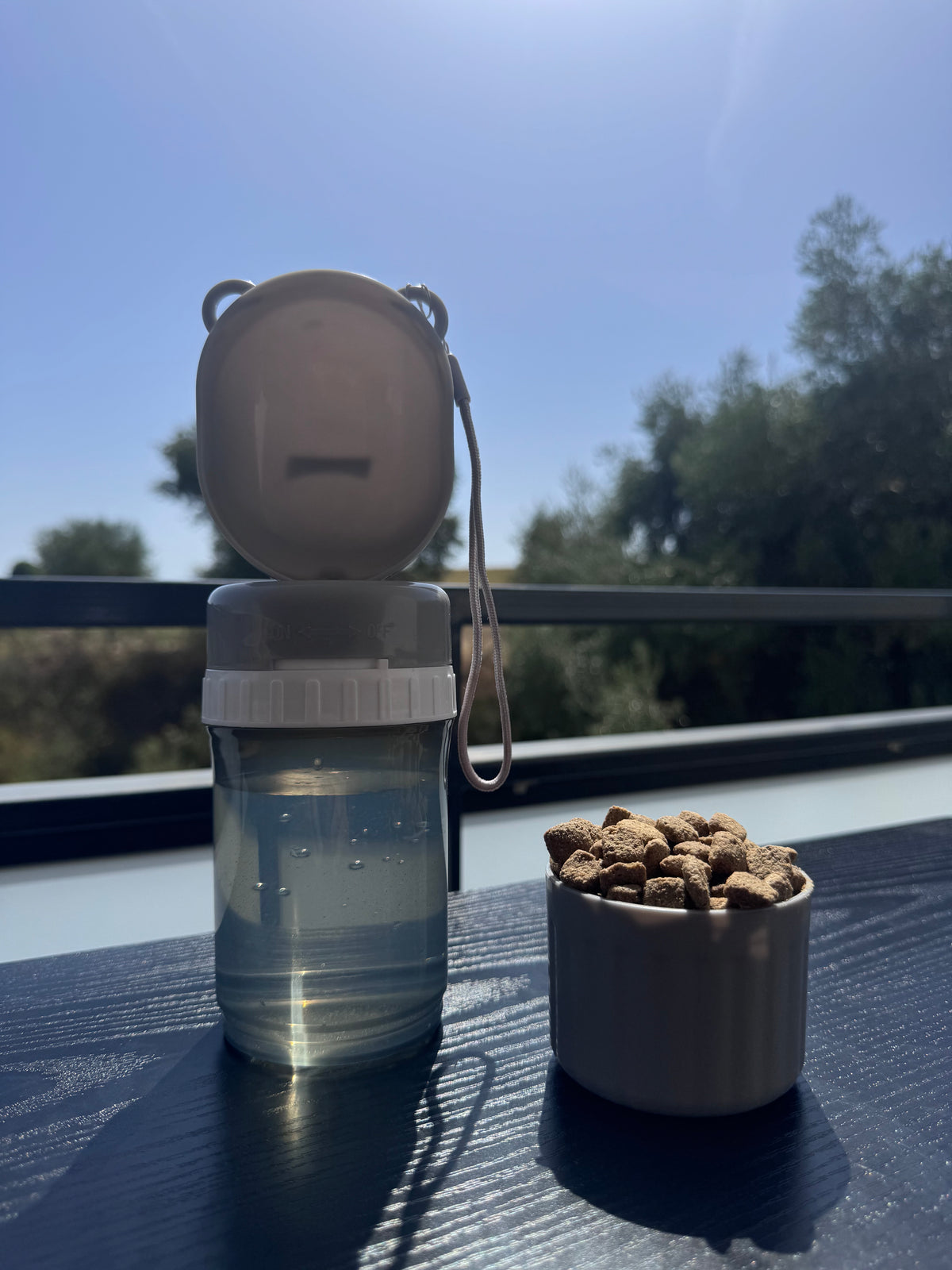 Gourde de voyage anti-fuite pour animaux — Distributeur d'eau et compartiment croquettes 2 en 1, sans BPA