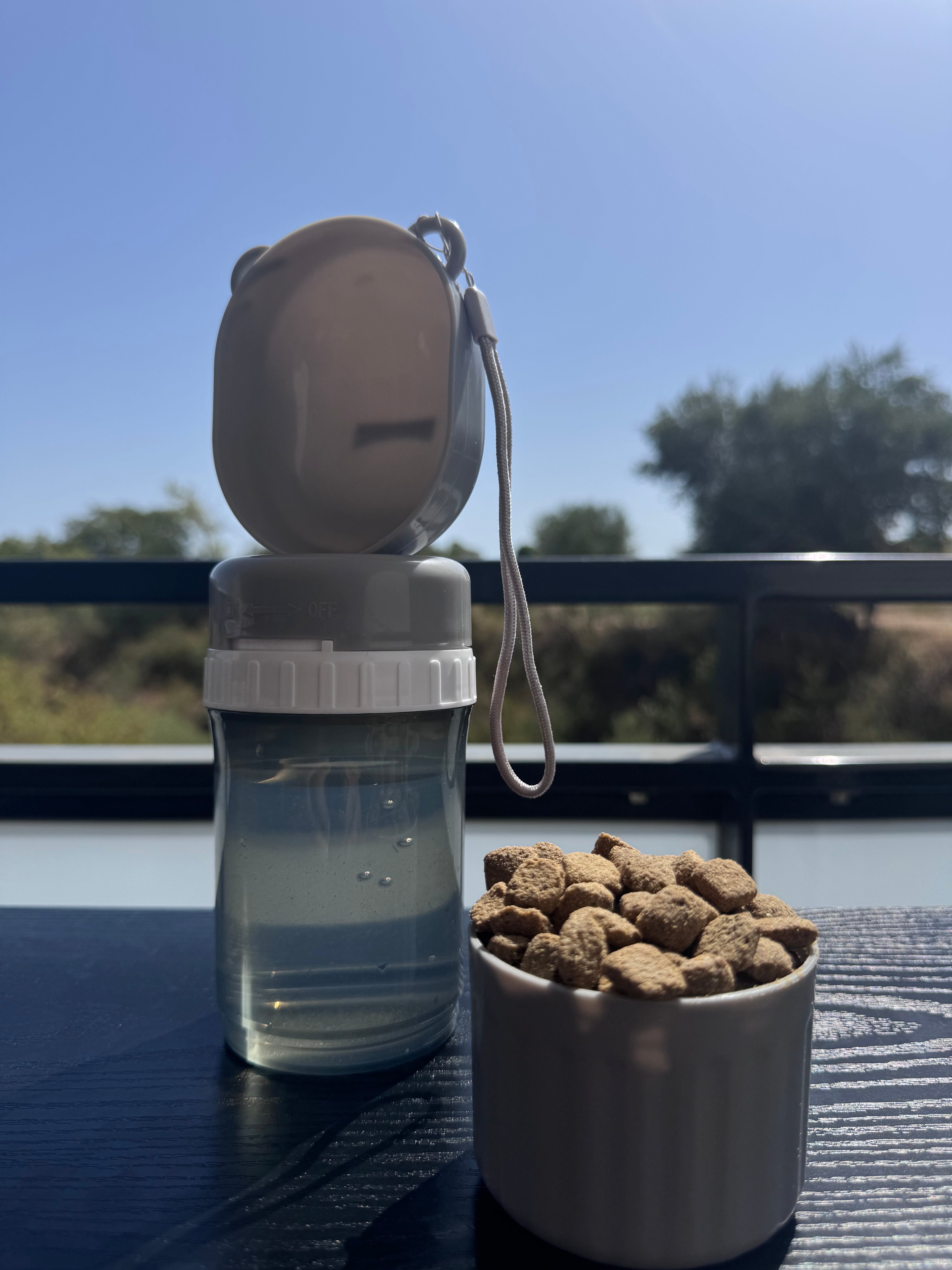 Gourde de voyage anti-fuite pour animaux — Distributeur d'eau et compartiment croquettes 2 en 1, sans BPA