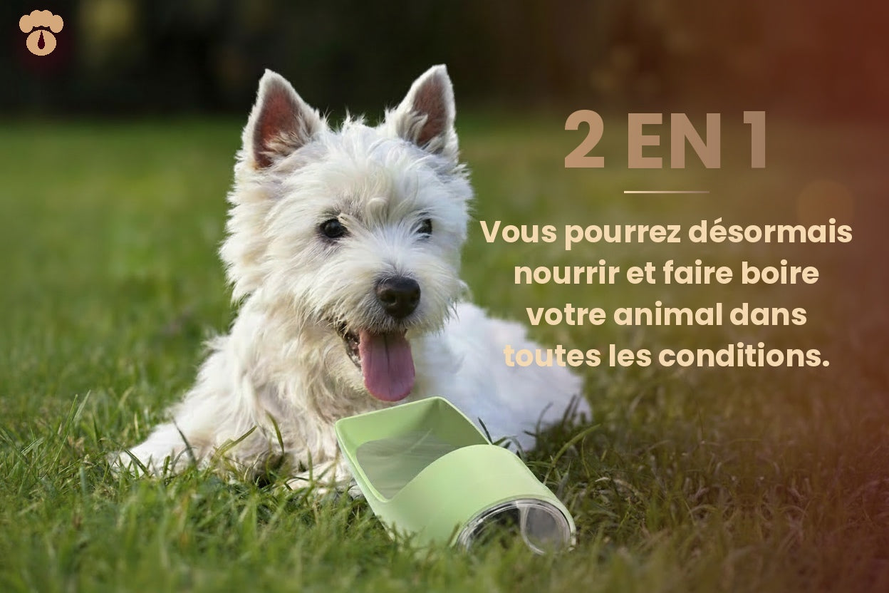 Gourde de voyage anti-fuite pour animaux — Distributeur d'eau et compartiment croquettes 2 en 1, sans BPA